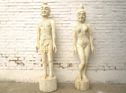 China zwei hölzerne Figuren Mann Frau zur Akupunktur Ausbildung Medizin SD-S-069A