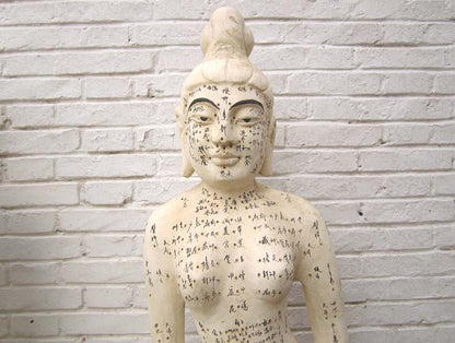 China zwei hölzerne Figuren Mann Frau zur Akupunktur Ausbildung Medizin SD-S-069A