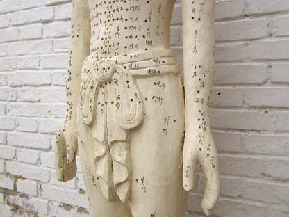 China zwei hölzerne Figuren Mann Frau zur Akupunktur Ausbildung Medizin SD-S-069A