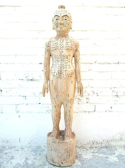 China 1930 Akupunktur Lehrmodell Skulptur Statue Heilkunde von Luxury-Park
