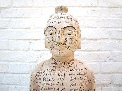 China 1930 Akupunktur Lehrmodell Skulptur Statue Heilkunde von Luxury-Park