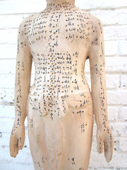 China 1930 Akupunktur Lehrmodell Skulptur Statue Heilkunde von Luxury-Park