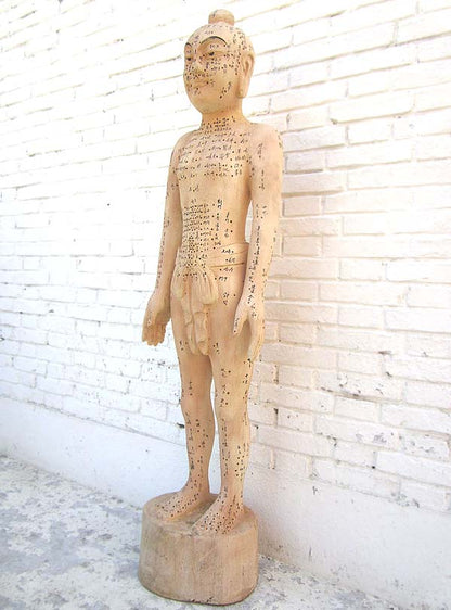 China Akupunktur Lehrmodell Skulptur lebensgroßer männlicher Körper .Luxury-Park