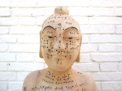 China Akupunktur Lehrmodell Skulptur lebensgroßer männlicher Körper .Luxury-Park