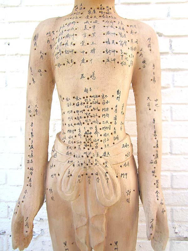 China Akupunktur Lehrmodell Skulptur lebensgroßer männlicher Körper .Luxury-Park