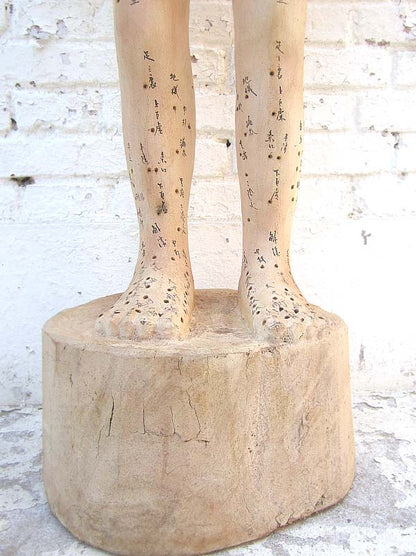 China Akupunktur Lehrmodell Skulptur lebensgroßer männlicher Körper .Luxury-Park