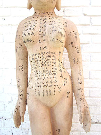 CHINA 1930 Medizin Frauenkörper Akupunktur Lehrmodell des Körpers Holz