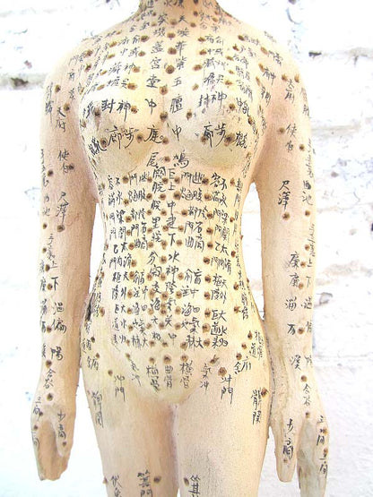 CHINA 1920 Medizin Akupunktur Ausbildung Skulptur des weiblichen Körpers Holz